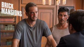 Brick Mansions