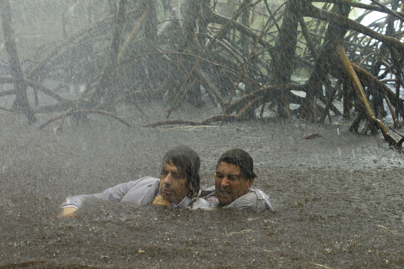 bloodline-serie-bilder-netflix1