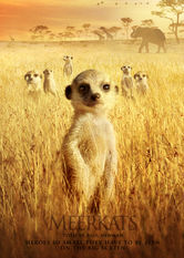 The Meerkats