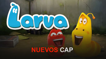 Larva