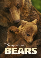 Bears