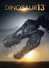 Dinosaur 13
