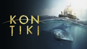 23768617