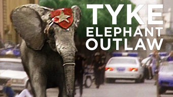 Tyke Elephant Outlaw