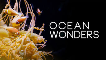 Ocean Wonders