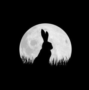 96458328-watership_down-news-large_transEGnaGdKWTbTgcBBebr969hv7xC2baC1131JPji8mxYE-295x300