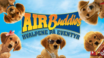 Air Buddies