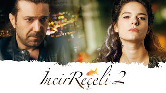 Incir Receli 2