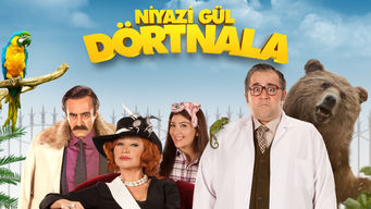 Niyazi Gül Dörtnala