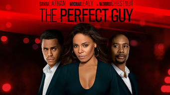 The Perfect Guy