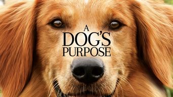 A Dog’s Purpose