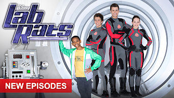 Lab Rats